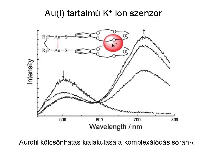 Au(I) tartalmú K+ ion szenzor Aurofil kölcsönhatás kialakulása a komplexálódás során 26 