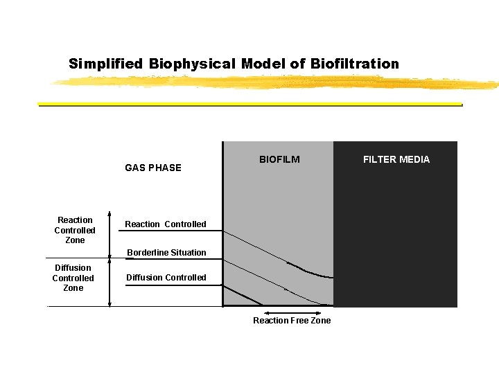 Simplified Biophysical Model of Biofiltration GAS PHASE Reaction Controlled Zone BIOFILM Reaction Controlled Borderline Simplified Biophysical Model of Biofiltration GAS PHASE Reaction Controlled Zone BIOFILM Reaction Controlled Borderline