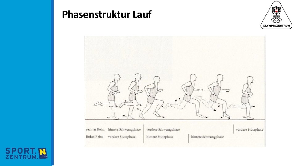 Phasenstruktur Lauf 