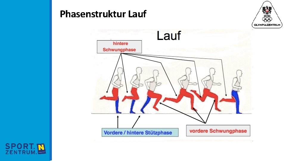 Phasenstruktur Lauf 