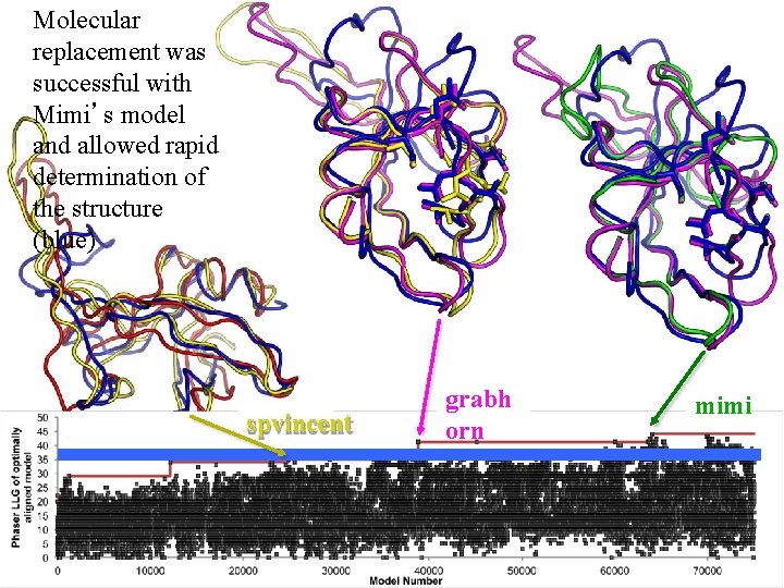 Molecular replacement was successful with Mimi’s model and allowed rapid determination of the structure