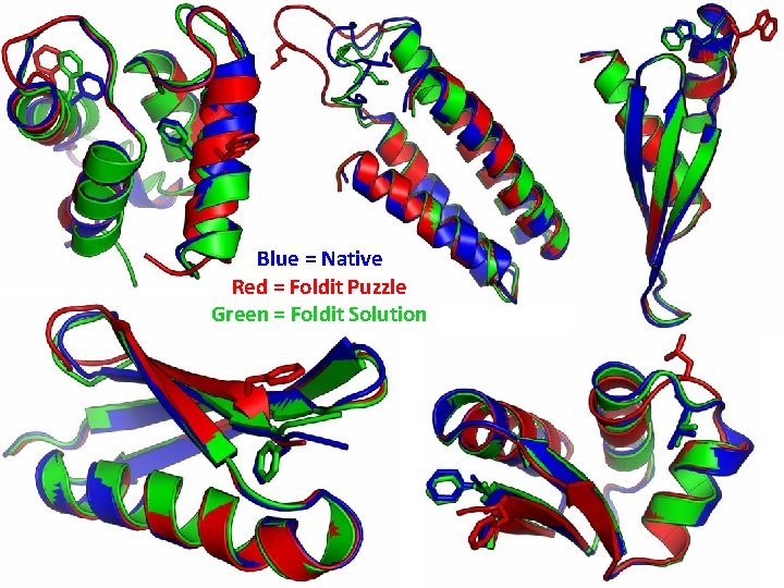 Blue = Native Red = Foldit Puzzle Green = Foldit Solution 