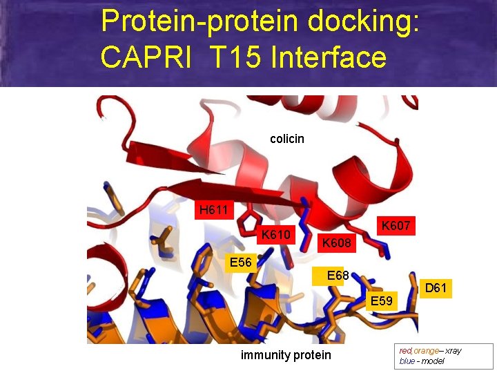 Protein-protein docking: CAPRI T 15 Interface colicin H 611 K 610 E 56 K