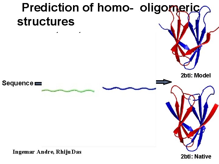 Prediction of homo- oligomeric structures 2 bti: Model Sequence Ingemar Andre, Rhiju Das 2