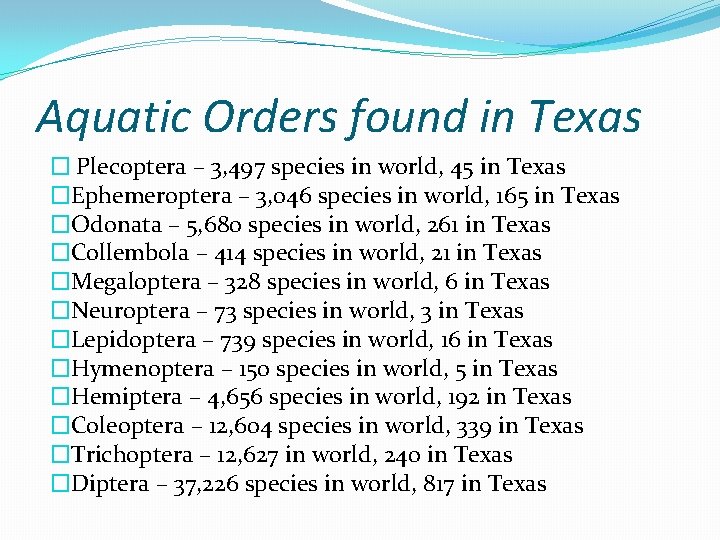 Aquatic Orders found in Texas � Plecoptera – 3, 497 species in world, 45