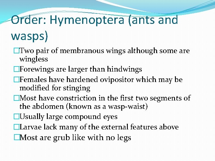 Order: Hymenoptera (ants and wasps) �Two pair of membranous wings although some are wingless