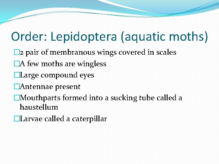 Order: Lepidoptera (aquatic moths) � 2 pair of membranous wings covered in scales �A
