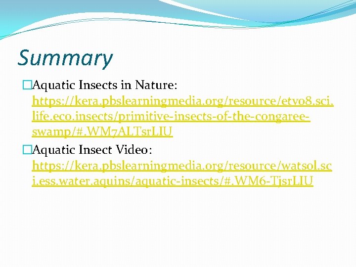 Summary �Aquatic Insects in Nature: https: //kera. pbslearningmedia. org/resource/etv 08. sci. life. eco. insects/primitive-insects-of-the-congareeswamp/#.