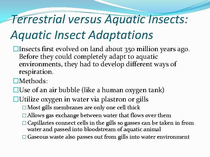 Terrestrial versus Aquatic Insects: Aquatic Insect Adaptations �Insects first evolved on land about 350