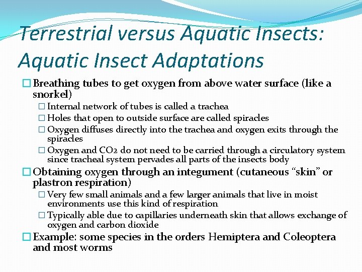 Terrestrial versus Aquatic Insects: Aquatic Insect Adaptations �Breathing tubes to get oxygen from above