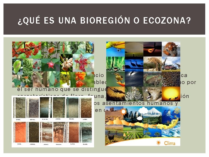 ¿QUÉ ES UNA BIOREGIÓN O ECOZONA? Una biorregión es un "espacio de vida", un