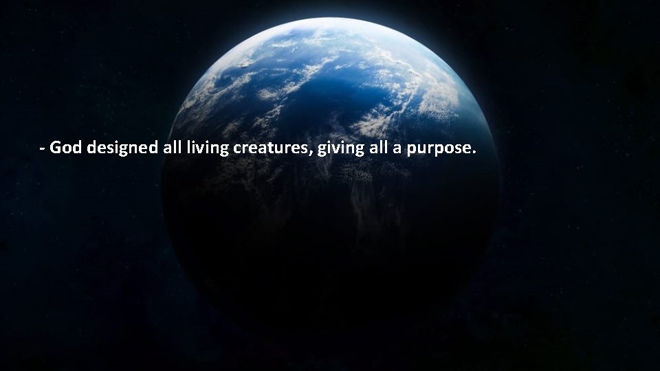 - God designed all living creatures, giving all a purpose. 