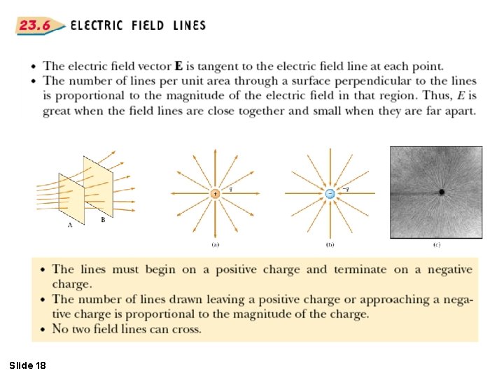 Slide 18 