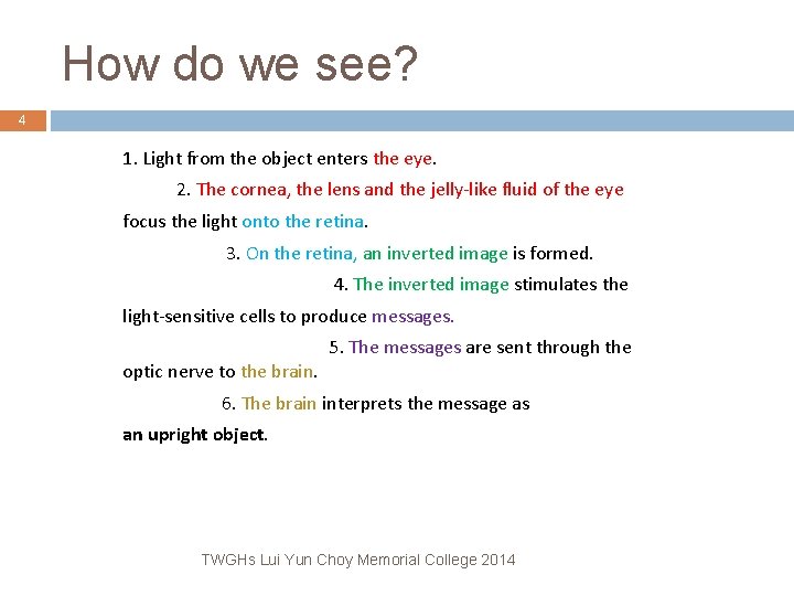 How do we see? 4 1. Light from the object enters the eye. 2. How do we see? 4 1. Light from the object enters the eye. 2.