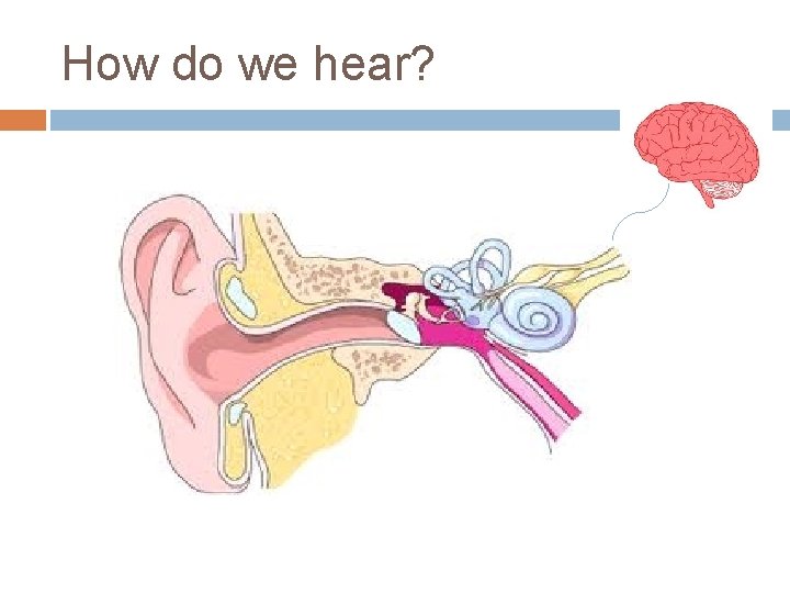 How do we hear? How do we hear?