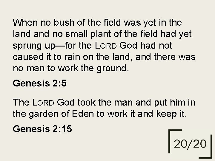 When no bush of the field was yet in the land no small plant