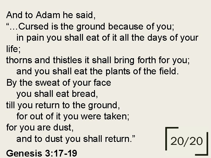 And to Adam he said, “…Cursed is the ground because of you; in pain