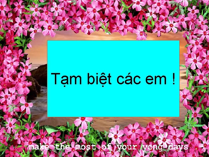 Tạm biệt các em ! 