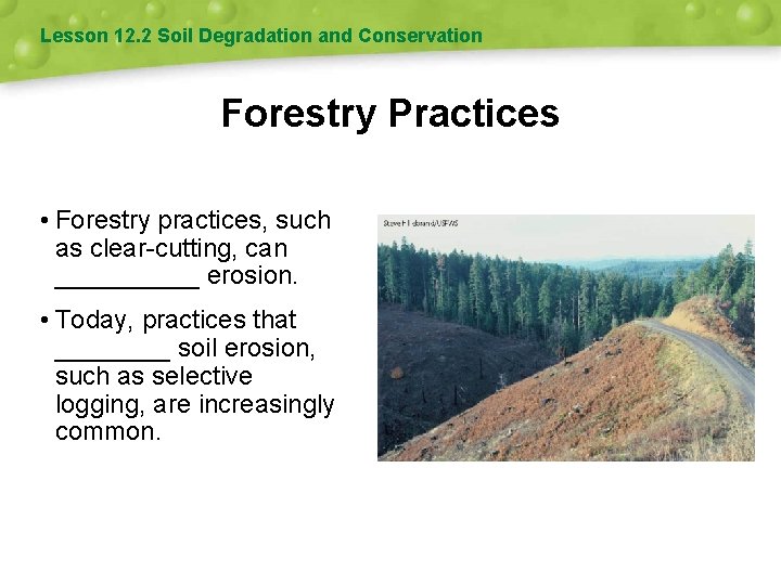 Lesson 12. 2 Soil Degradation and Conservation Forestry Practices • Forestry practices, such as