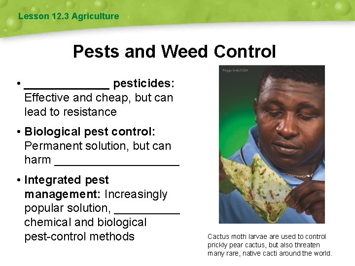 Lesson 12. 3 Agriculture Pests and Weed Control • _______ pesticides: Effective and cheap,