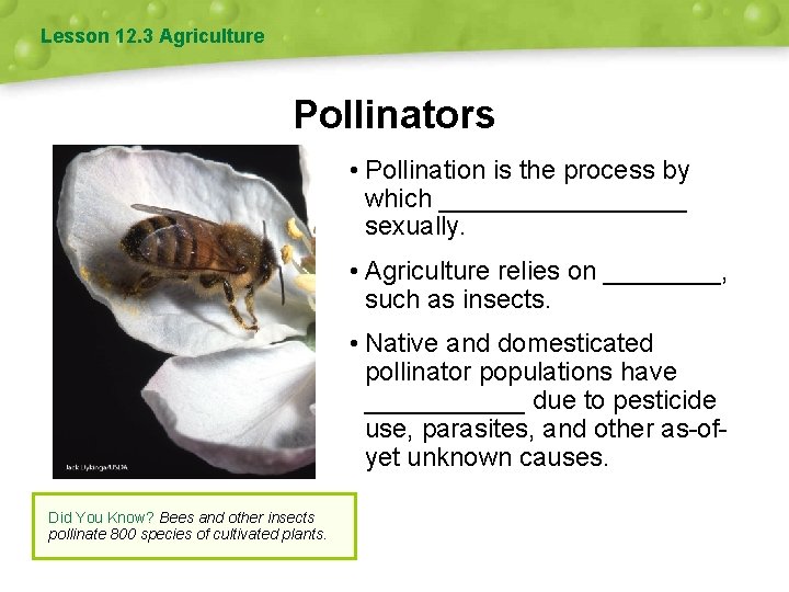 Lesson 12. 3 Agriculture Pollinators • Pollination is the process by which _________ sexually.