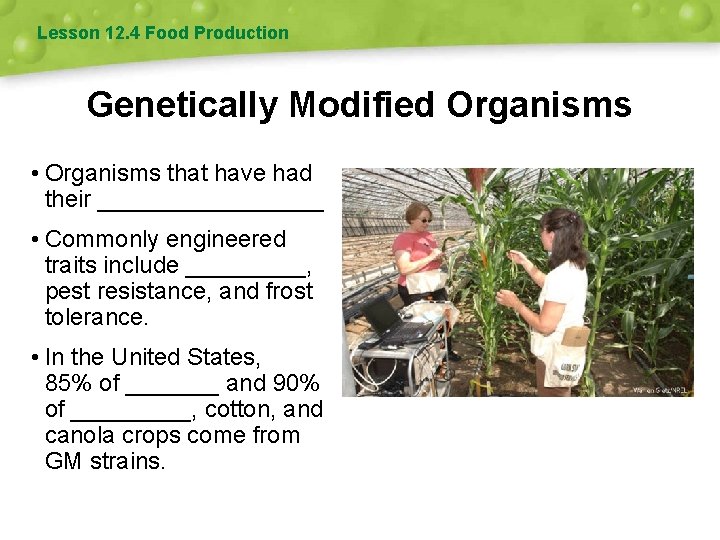 Lesson 12. 4 Food Production Genetically Modified Organisms • Organisms that have had their