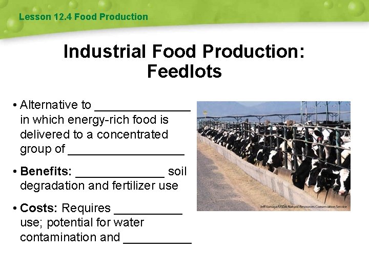 Lesson 12. 4 Food Production Industrial Food Production: Feedlots • Alternative to _______ in