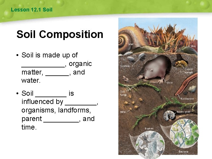 Lesson 12. 1 Soil Composition • Soil is made up of ______, organic matter,