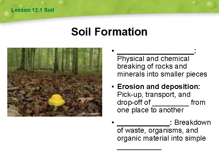 Lesson 12. 1 Soil Formation • __________: Physical and chemical breaking of rocks and