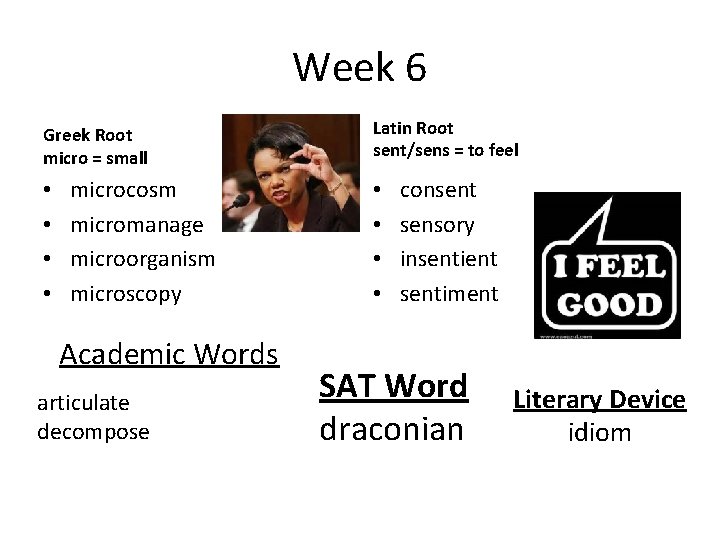 Week 6 Greek Root micro = small • • microcosm micromanage microorganism microscopy Academic Week 6 Greek Root micro = small • • microcosm micromanage microorganism microscopy Academic