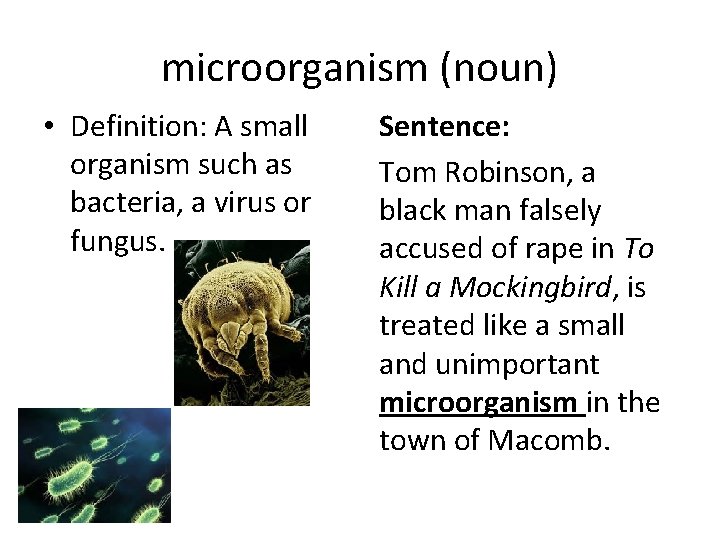 microorganism (noun) • Definition: A small organism such as bacteria, a virus or fungus. microorganism (noun) • Definition: A small organism such as bacteria, a virus or fungus.