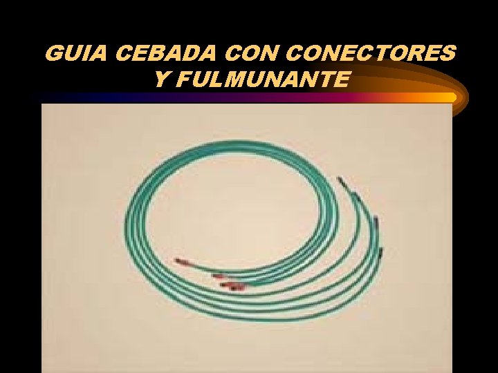 GUIA CEBADA CONECTORES Y FULMUNANTE 