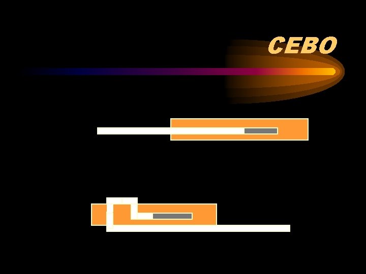 CEBO 