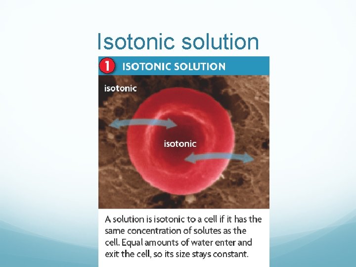 Isotonic solution 