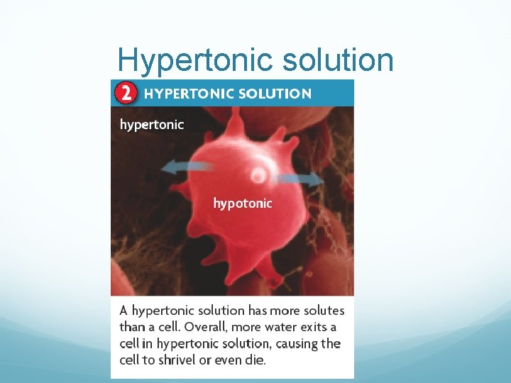 Hypertonic solution 