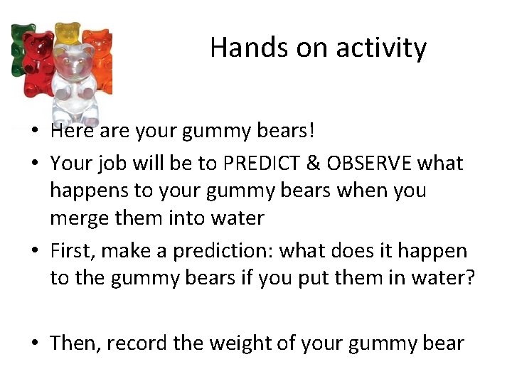 Hands on activity • Here are your gummy bears! • Your job will be