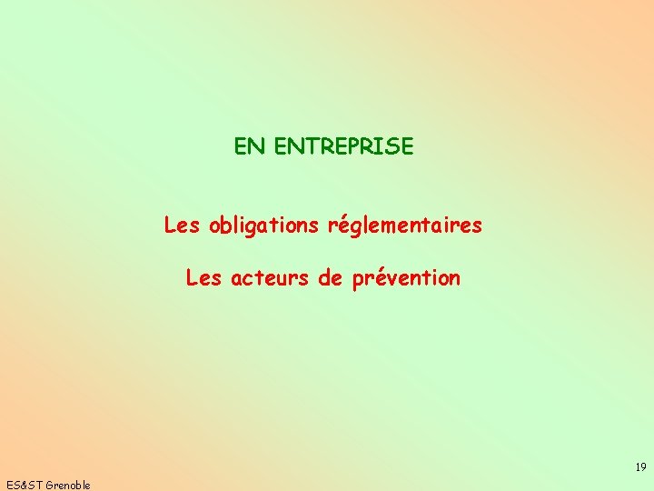 EN ENTREPRISE Les obligations réglementaires Les acteurs de prévention 19 ES&ST Grenoble 