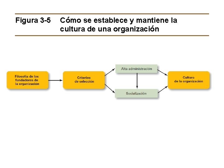 Figura 3 -5 Cómo se establece y mantiene la cultura de una organización ©