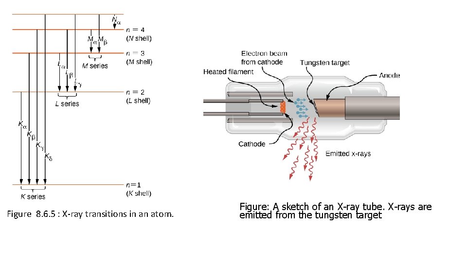 . Figure 8. 6. 5 : X-ray transitions in an atom. Figure: A sketch