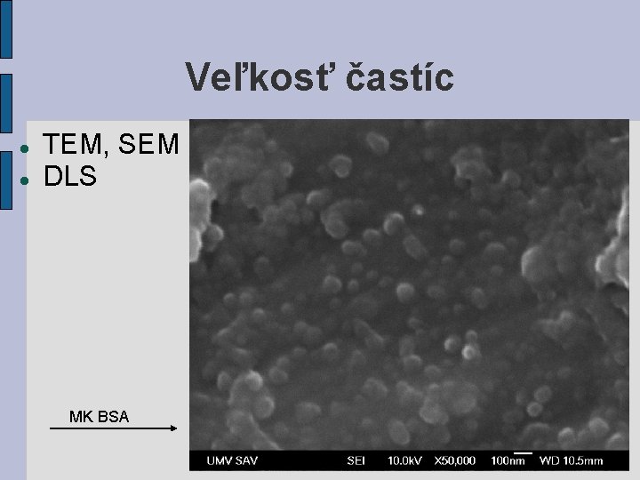 Veľkosť častíc TEM, SEM DLS MK BSA 