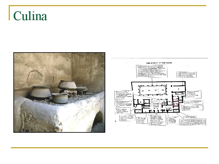 Culina 