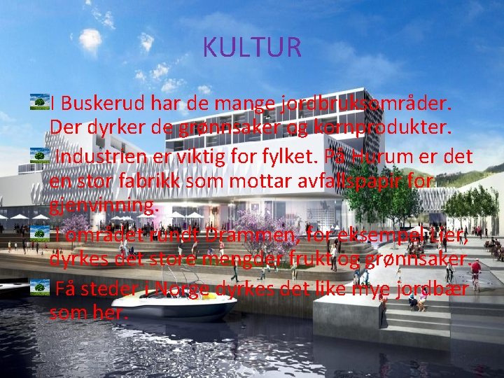 KULTUR I Buskerud har de mange jordbruksområder. Der dyrker de grønnsaker og kornprodukter. Industrien