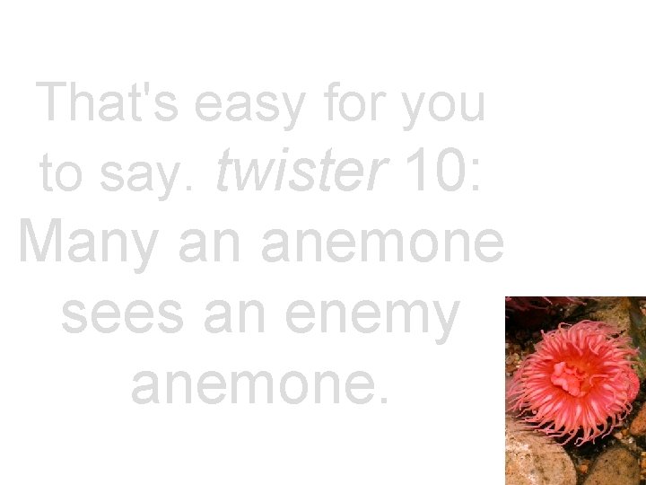 That's easy for you to say. twister 10: Many an anemone sees an enemy