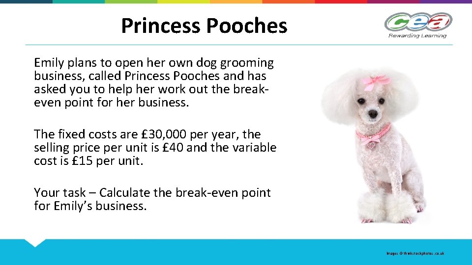 Princess Pooches Emily plans to open her own dog grooming business, called Princess Pooches