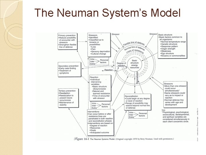 The Neuman System’s Model 