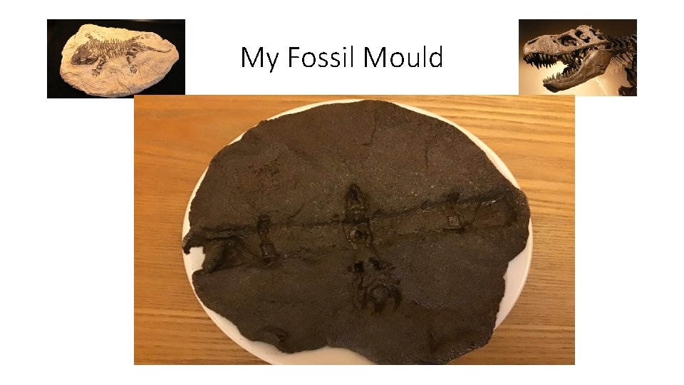 My Fossil Mould 