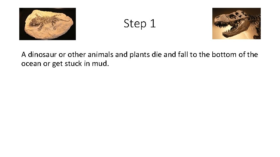 Step 1 A dinosaur or other animals and plants die and fall to the
