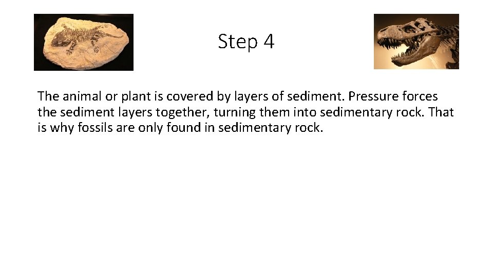 Step 4 The animal or plant is covered by layers of sediment. Pressure forces