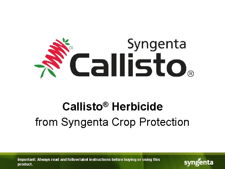 Callisto® Herbicide from Syngenta Crop Protection Important: Always read and follow label instructions before