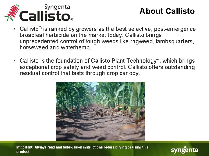 About Callisto • Callisto® is ranked by growers as the best selective, post-emergence broadleaf